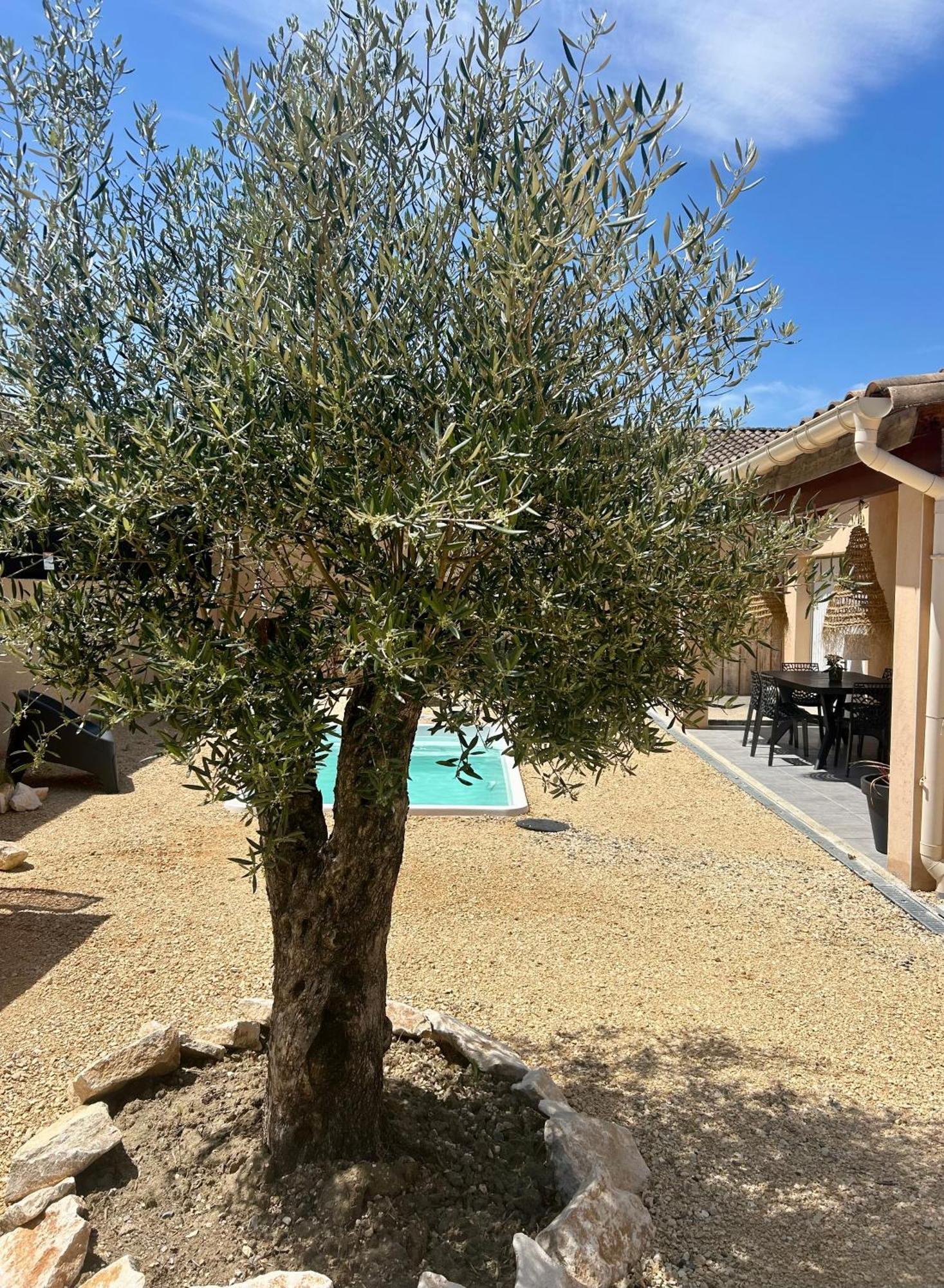Maison Piscine & Spa Vallon Pont D'Arc エクステリア 写真